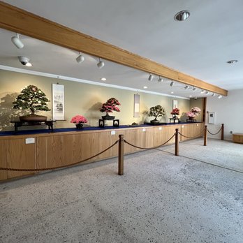 US National Arboretum - Bonsai - Botanical Gardens Near Me - Washington, DC, District of Columbia US National Arboretum - Bonsai - Botanical Gardens Near Me - Washington, DC, District of Columbia
