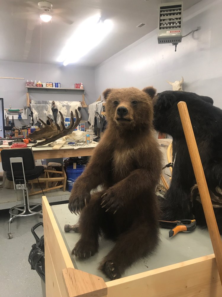 Mountin' Memories Taxidermy - taxidermy in Wasilla, AK