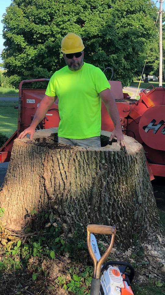 Jeff Berkler Tree Service - tree service in Springfield, IL