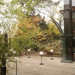 Le Moaï - Terrasse du Moaï