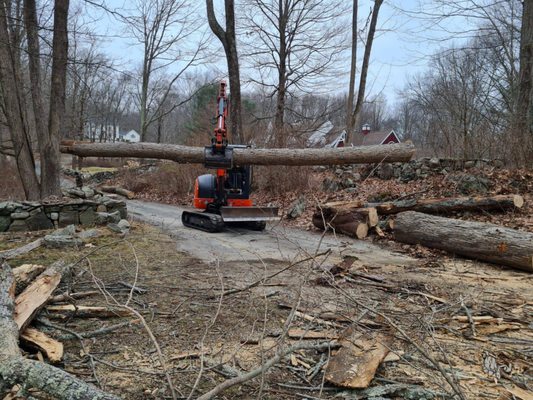 Stump Grinding - Stump Grinding