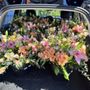 Photo of May's Produce and Flowers