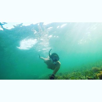 Bahia Honda State Park - Snorkeling! - Parks Near Me - Big Pine Key, Florida