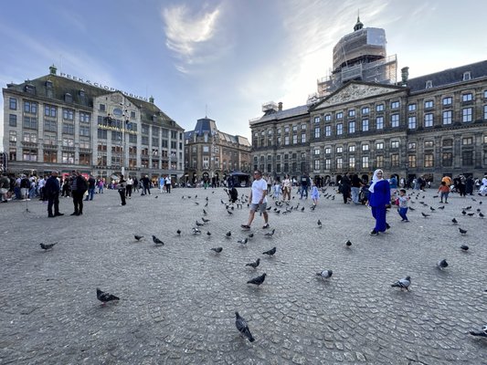 Royal Palace Amsterdam by null