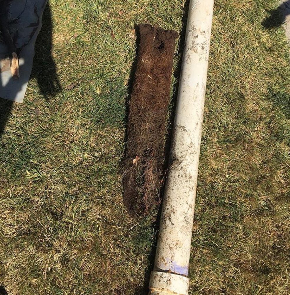 Slide of The Drain Check