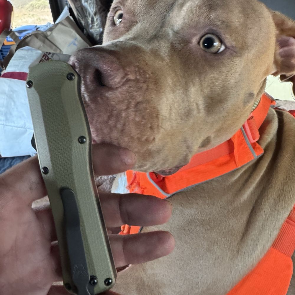 Knife City Outlet - My Dog loves knives too! - Sporting Goods Near Me - Holbrook, Arizona Knife City Outlet - My Dog loves knives too! - Sporting Goods Near Me - Holbrook, Arizona
