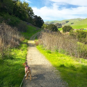 Martin Canyon Creek Trail - So beautiful! - Hiking Near Me - Dublin, California