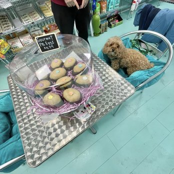 Doggie Beach Boutique  - Pet Stores Near Me - Ventnor City, New Jersey