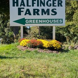 Halfinger Farms