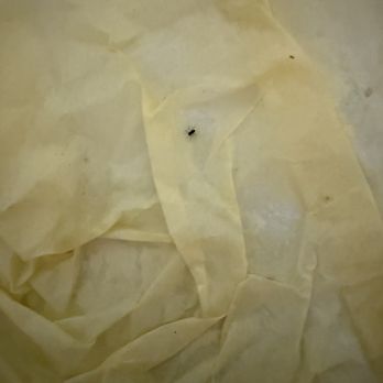 Dos Hermanos Taqueria - I love eating ticks with my Oregon burrito - Mexican Near Me - Eugene, Oregon