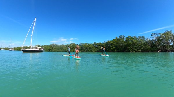 SUP Learn to Paddle Lessons - Standup Paddleboarding has so many great benefits.  It's fun, relaxing, connects you with nature, and it's a great core and full body workout.  But  it ca be intimidating if you're brand new to the sport.  In a SUP Learn to Paddle Lesson, I will provide both the equipment and instruction you need to get out on the water safely and start having fun.  Take a beginner lesson to learn to SUP or take an intermediate/advanced lesson to improve core engagement & stroke technique.

Choose to book at either Bill Baggs (Key Biscayne, FL) or Brew Fish (Pompano Beach, FL).

 Instructors Meghan and Derrick are both ACA Level 2 SUP Instructors.  Meghan is also an RYT500 yoga Instructor, Certified Personal Trainer, Certified SUP Yoga Instructor, WPA Standup Paddleboard Instructor, and Red Cross Certified Lifeguard.
