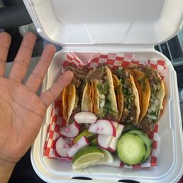 Smallest quessatacos ever seen