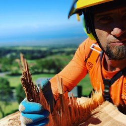 Aloha Tree Works
