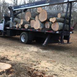 Clavin Tree Service - Huge black oak removed from our property, not a stick or leaf left behind. Incredible!