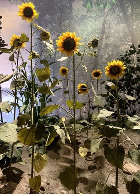 Mashantucket Pequot Museum & Research Center by null