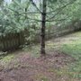 Photo of Sparkle Pressure Washing
