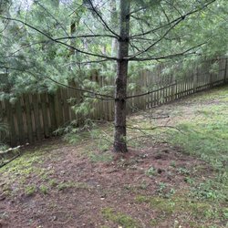 Sparkle Pressure Washing - 6' H X 110' L pine fence that needs to be pressure washed.