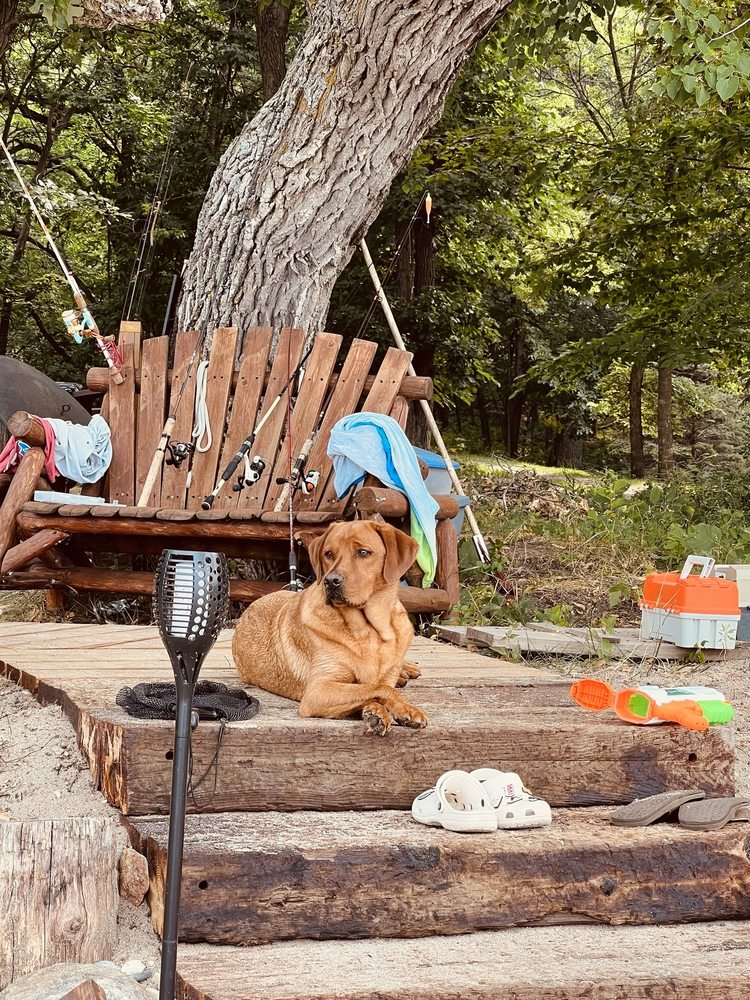 FIELD HAVEN KENNELS Updated September 2024 15 Photos 5063 County