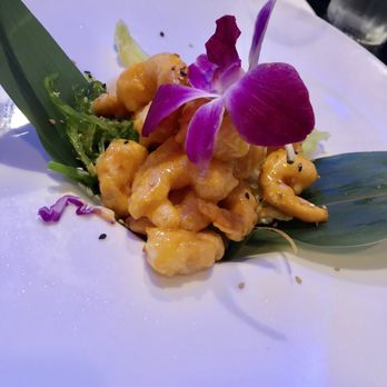 Onsen - Rock shrimp tempura - Japanese Near Me - Oakdale, New York Onsen - Rock shrimp tempura - Japanese Near Me - Oakdale, New York