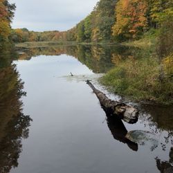 Dividend Pond - Dividend pond