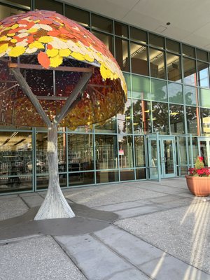 Clearwater Main Library by null