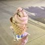 Ice Cream Shack of Sunnyland