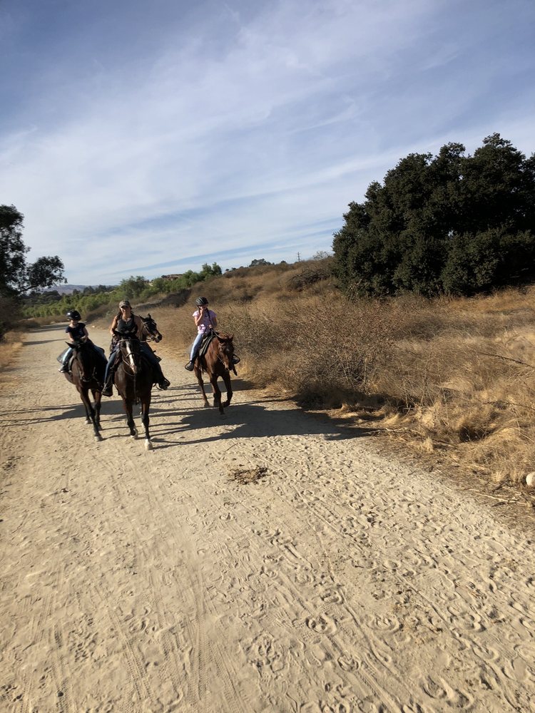 MONTEVERDE RANCH EQUESTRIAN CENTER 49 Photos & 61 Reviews 11035