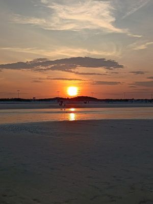 Nahant Beach by null