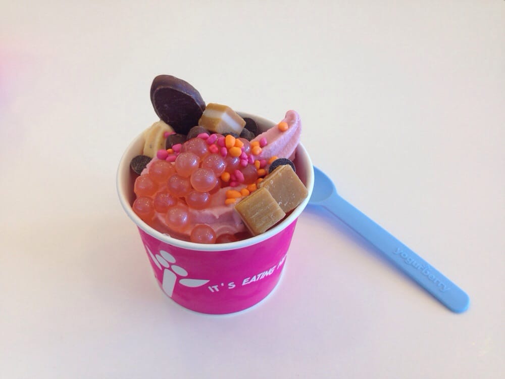 YOGURBERRY Updated May 2024 7 Hurstmere Road, Takapuna, Auckland