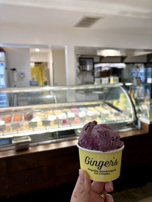 Ginger's Divine Ice Creams by null