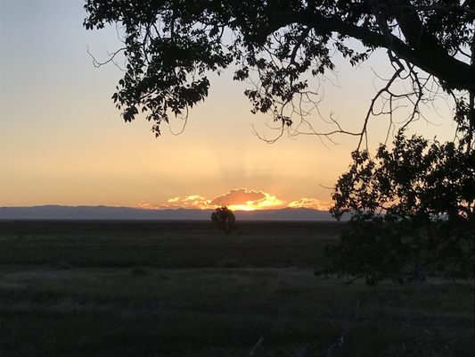 Zapata Ranch by null