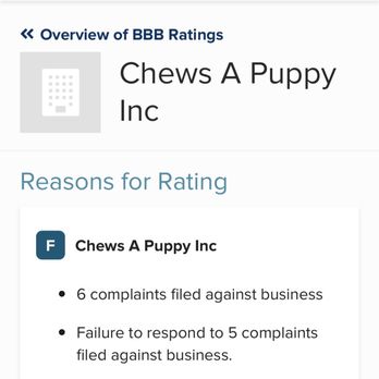 Chews A Puppy - BBB review  please use this as proof that this business is horrible - Pet Adoption Near Me - Ocoee, Florida