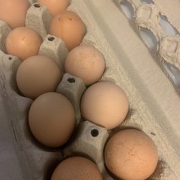 Chicken Balut Eggs