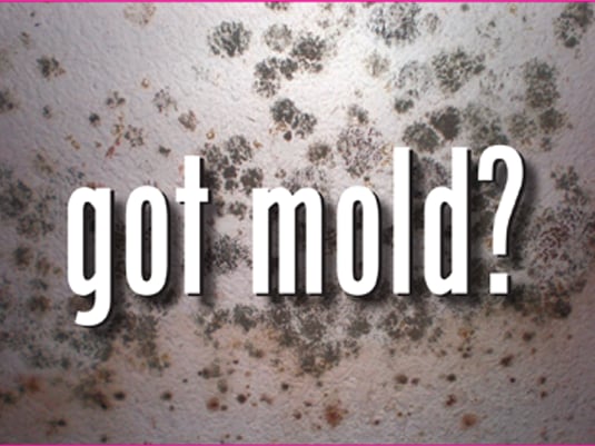Breathe Easy Environmental Services - mold inspector in Charleston, SC