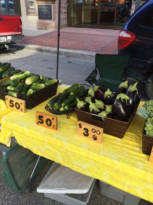 Cedar Rapids Farmer's Market by null