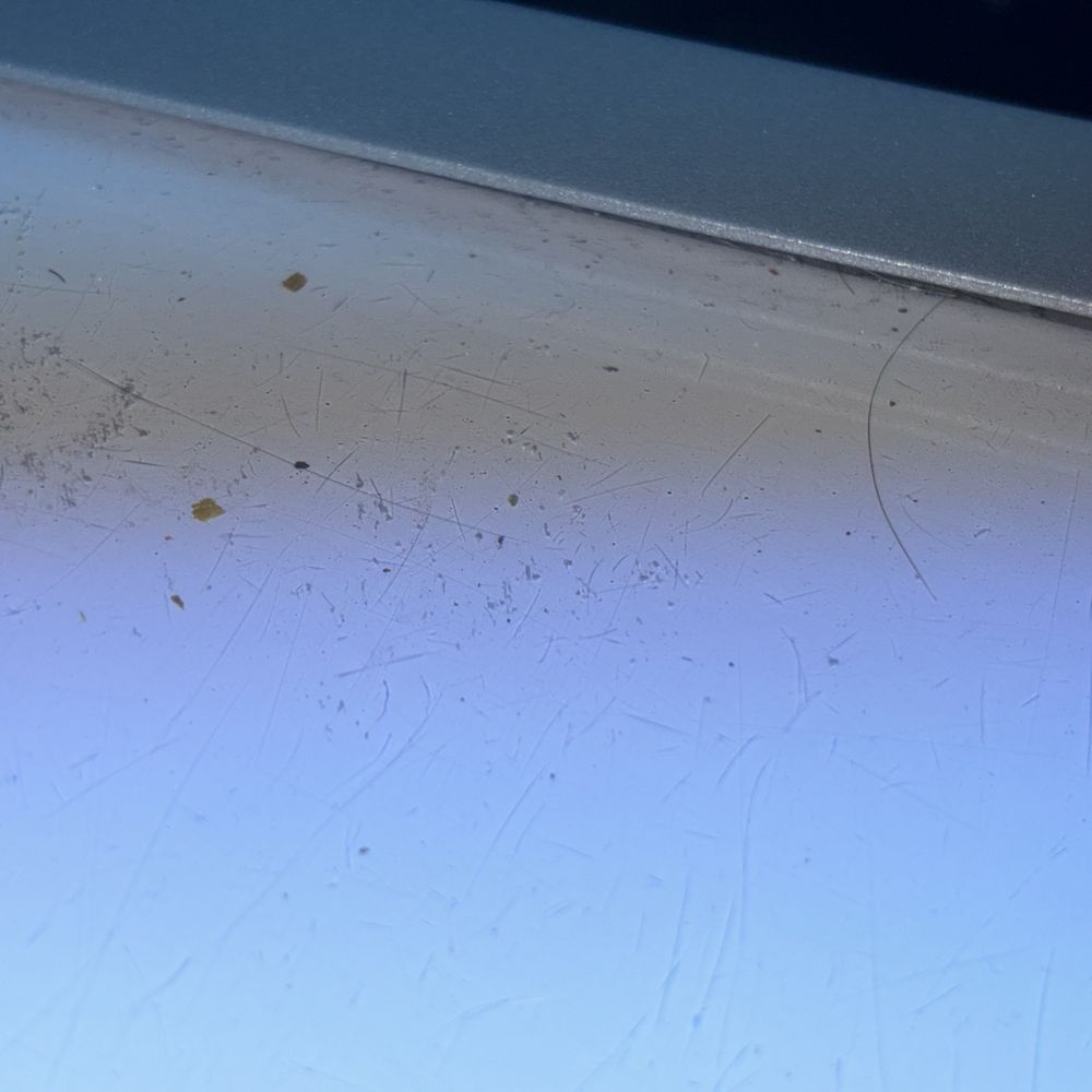 South Beach Tanning - Looks like scratches but it's actually hair - Spray Tanning Near Me - Winter Springs, Florida South Beach Tanning - Looks like scratches but it's actually hair - Spray Tanning Near Me - Winter Springs, Florida