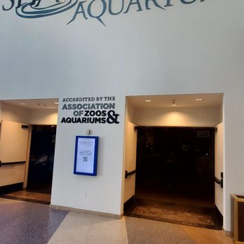 Shark Reef Aquarium at Mandalay Bay - Aquariums Near Me - Las Vegas, Nevada