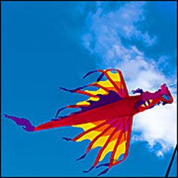 The Kite Guys - Beautiful banners and more