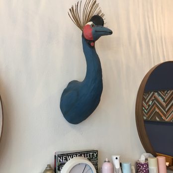 Joey Miller Studio - His name is hank! - Hair Stylists Near Me - Bastrop, Texas