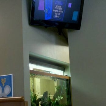 Schoolhouse Rd Pediatric Assocs PC - Waiting Room with Video Screen - Doctors Near Me - Albany, New York Schoolhouse Rd Pediatric Assocs PC - Waiting Room with Video Screen - Doctors Near Me - Albany, New York