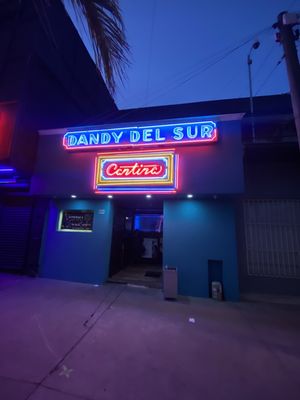 DANDY DEL SUR by null