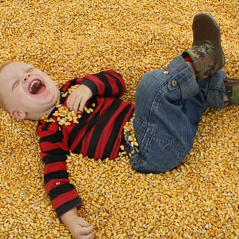 Sissons' Pumpkin Patch - Fun. Photo winner Facebook - Party & Event Planning Near Me - Girard, Pennsylvania