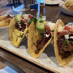 Barbacoa Breakfast Tacos