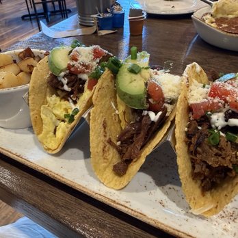 First Watch - Barbacoa Breakfast Tacos - Breakfast & Brunch Near Me - Kissimmee, Florida