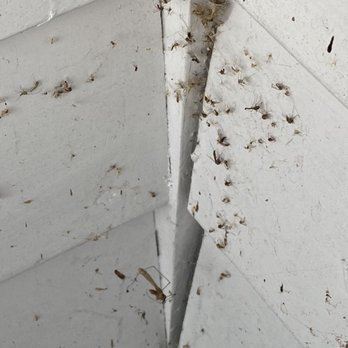 Bay Point at Mill Falls - Bug infested balcony - Hotels Near Me - Meredith, New Hampshire