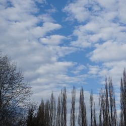 Sammamish River Trail