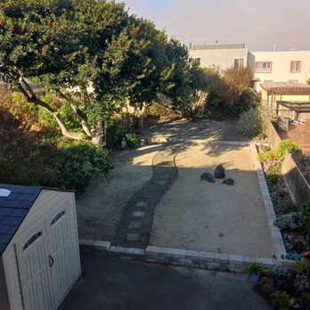 Arborist Now - Tree Services Near Me - San Francisco, California Arborist Now - Tree Services Near Me - San Francisco, California