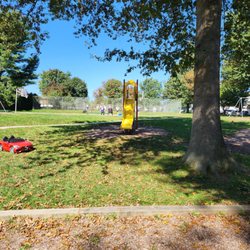 Grasslyn Park