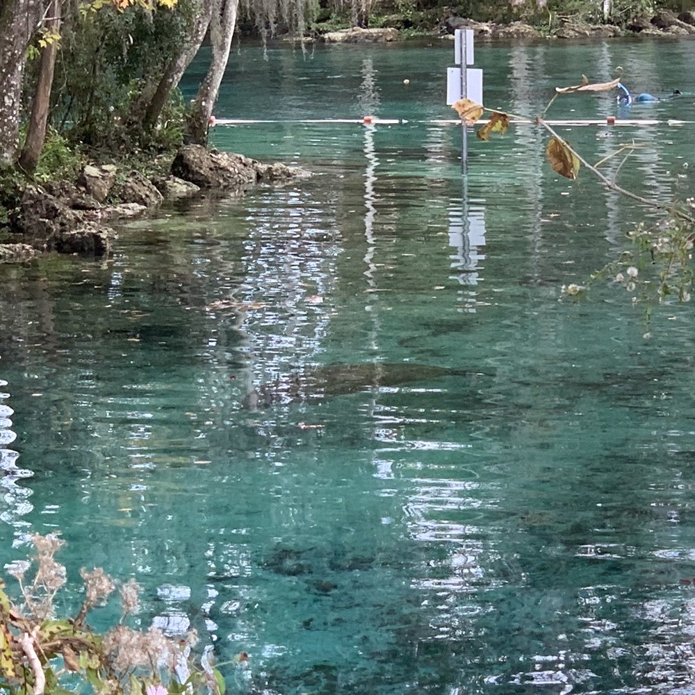 Three Sisters Springs - Tours Near Me - Crystal River, Florida Three Sisters Springs - Tours Near Me - Crystal River, Florida