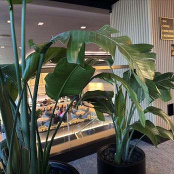 Etihad Lounge - Airport Lounges Near Me - Dulles, Virginia Etihad Lounge - Airport Lounges Near Me - Dulles, Virginia